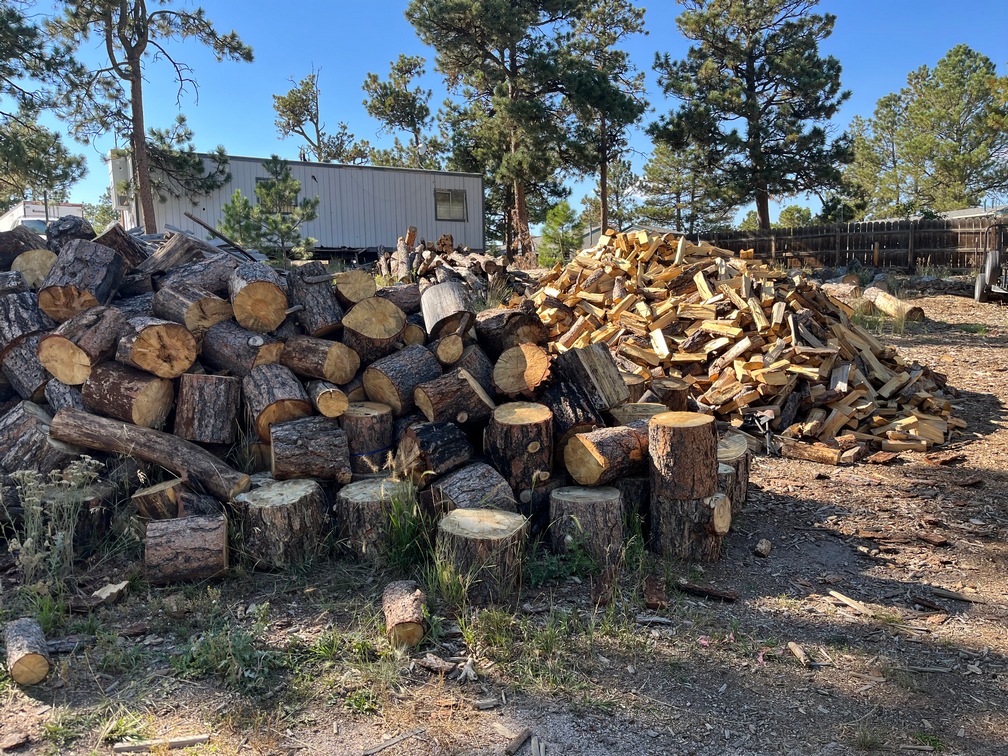 picture of split firewood and rounds in Black Forest yard